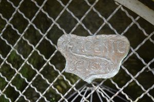 seveso_parco-spina-verde-3